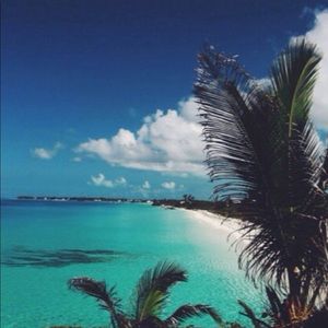 Meet your Posher, Taelor